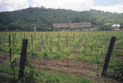 Krug Winery, Napa Valley