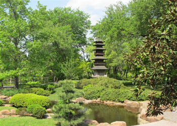 Entering the Japanese garden