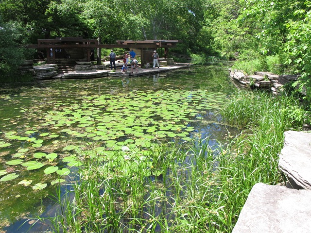 The lily pool